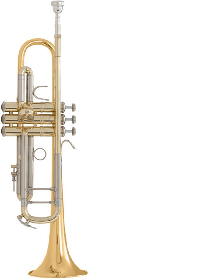 Trompeta Sib BACH modelo 180L tudel standard GOLDMESSING
