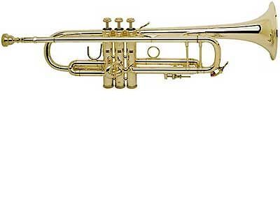 Trompeta Sib BACH modelo 180ML tudel standard LACADA
