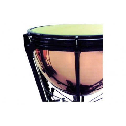 Timbal 29