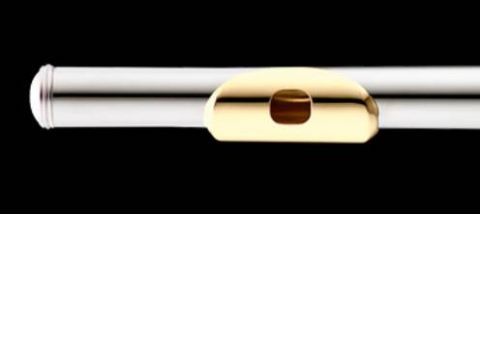 Flauta AZUMI modelo AZ-Z1REGP1