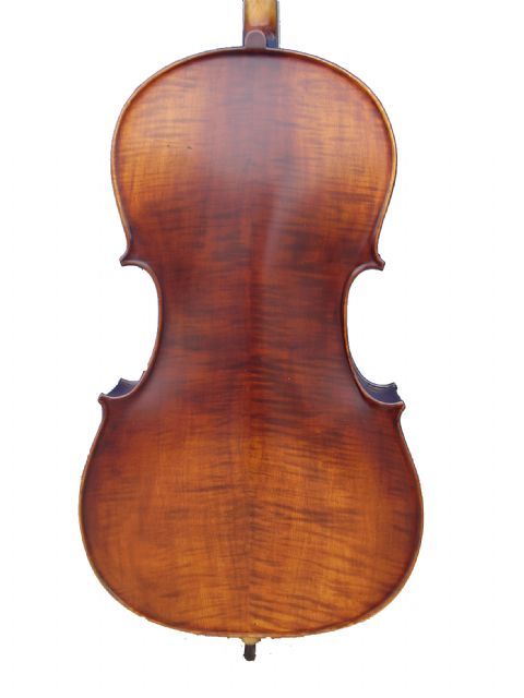 Violonchelo CORINA 4/4 modelo VC 605