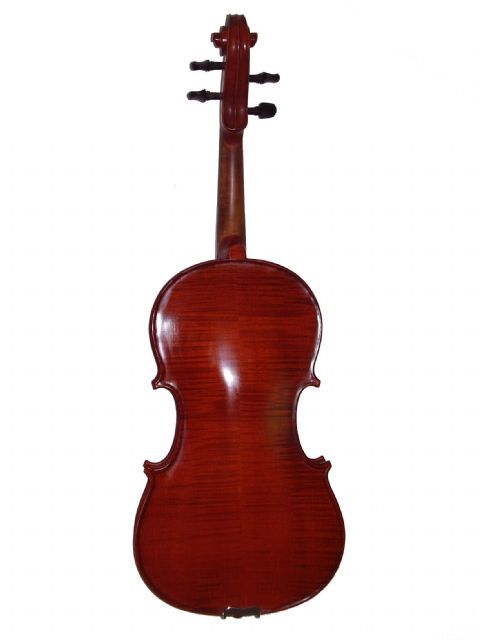 Viola 15