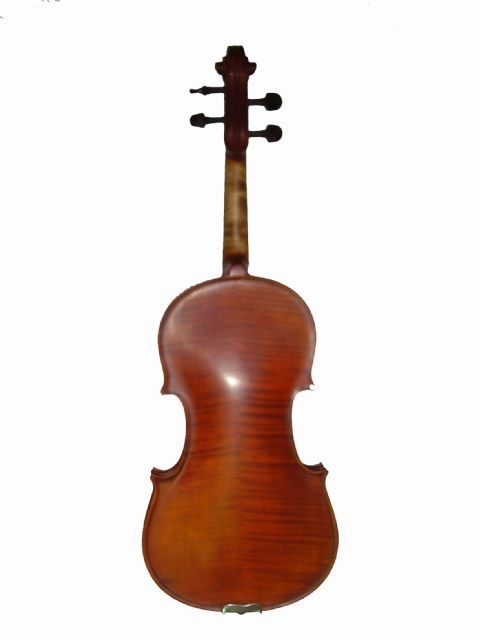 Violin 1/2 GLIGA modelo GEMS II