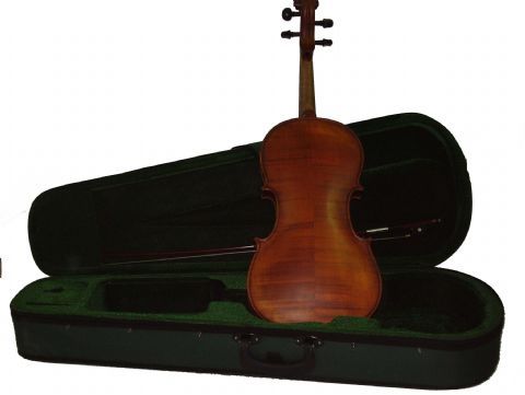 Viola 15