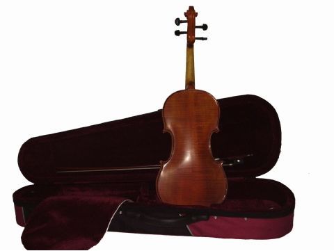 Violin 4/4 GLIGA modelo GENIAL I 