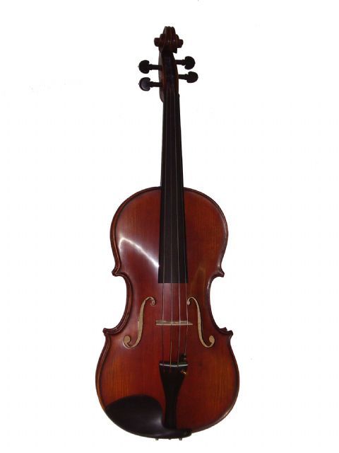 Viola 16,5