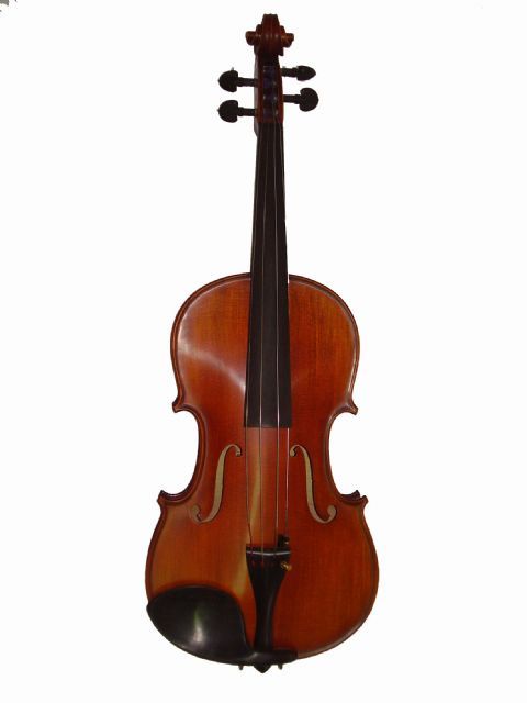 Violin 4/4 GLIGA modelo GAMA I