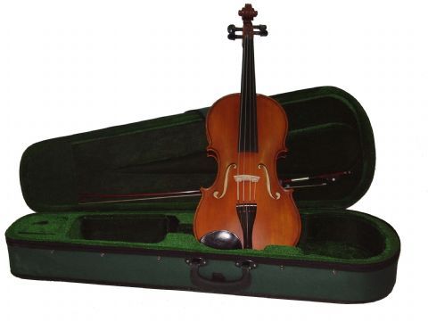 Viola 15,5