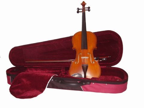 Violin 4/4 GLIGA modelo GENIAL I 