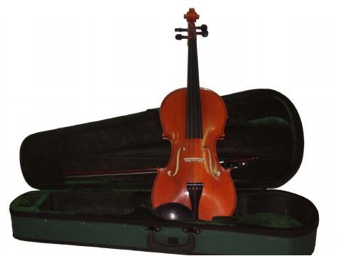 Viola 16