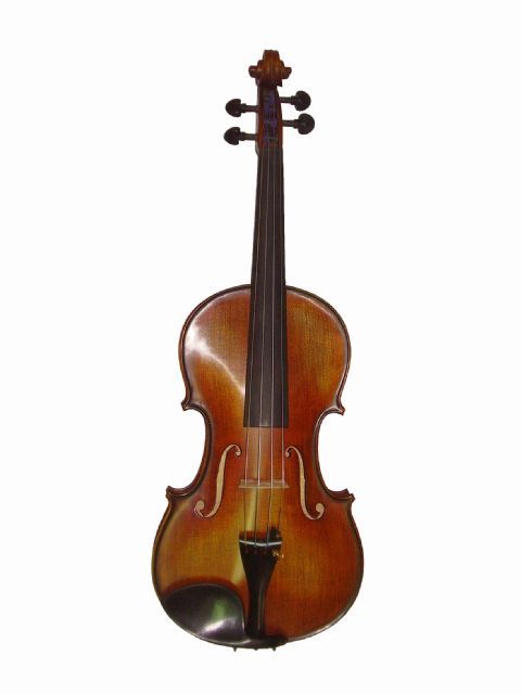 Violin 4/4 GLIGA modelo VASILE MAESTRO I