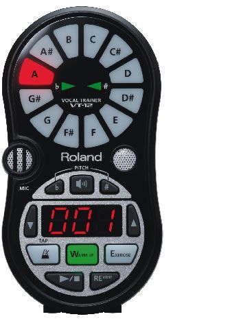 Grabador digital ROLAND modelo VT-12