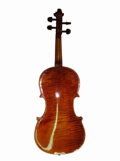 Violin 4/4 STENTOR modelo MESSINA