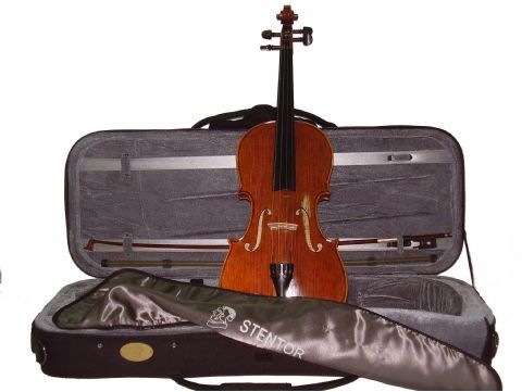 Viola 16