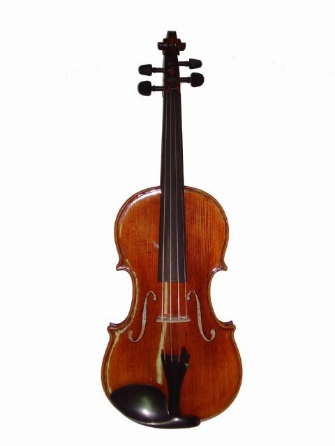 Violin 4/4 STENTOR modelo MESSINA