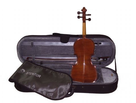 Viola 12