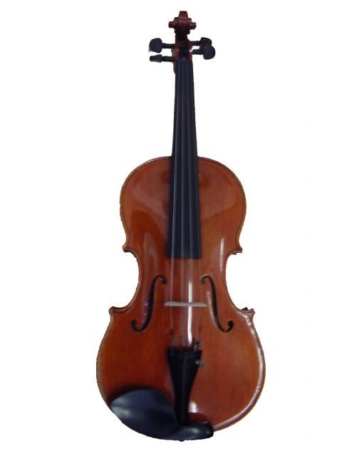 Viola 16,5