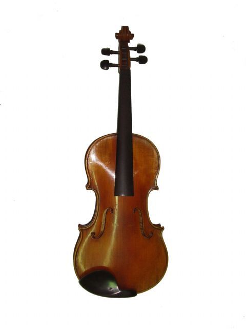 Viola 16 1/8