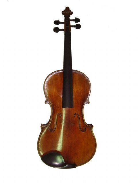 Viola 16 1/8