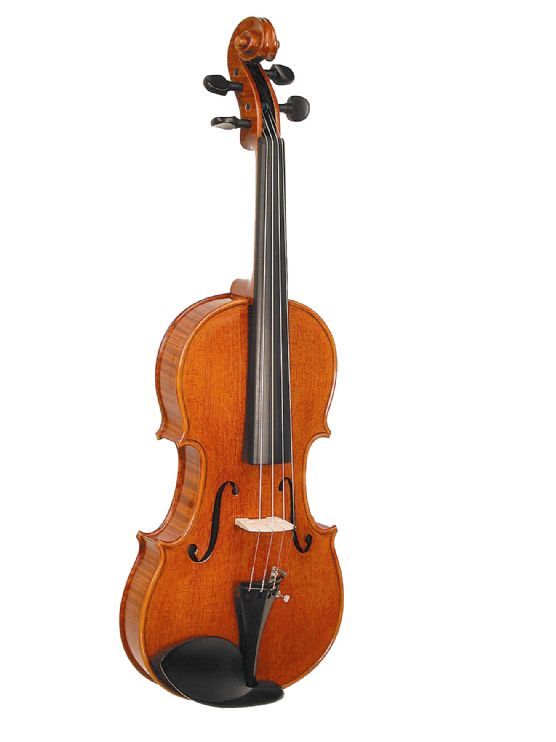 Violin 4/4 modelo ARCADIA